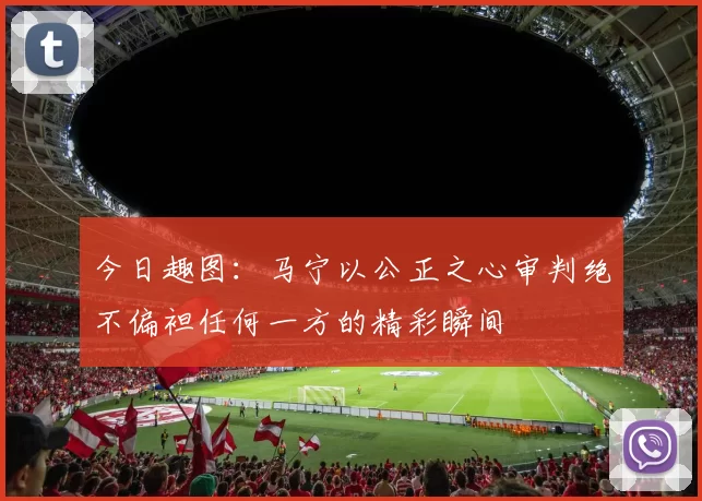 今日趣图:马宁以公正之心审判绝不偏袒任何一方的精彩瞬间